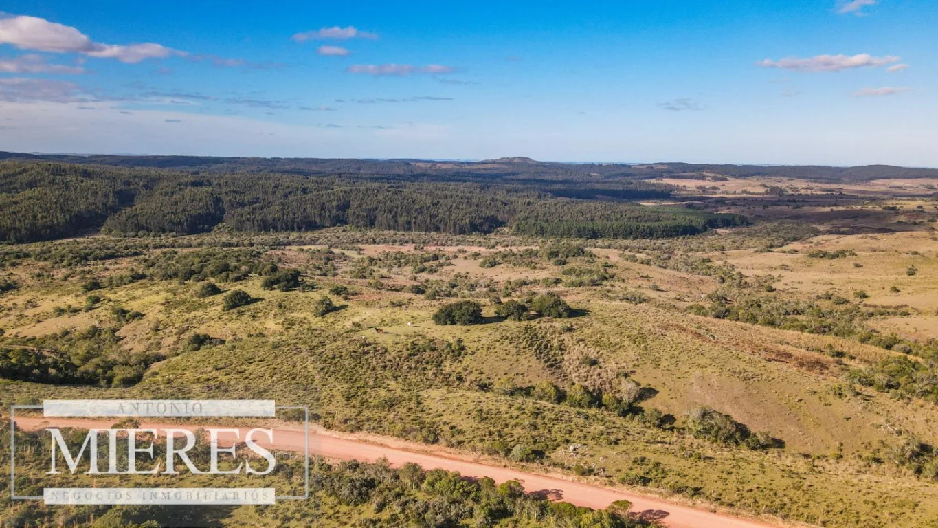 Campo en José Ignacio, propiedad 290246 -Imagen 9