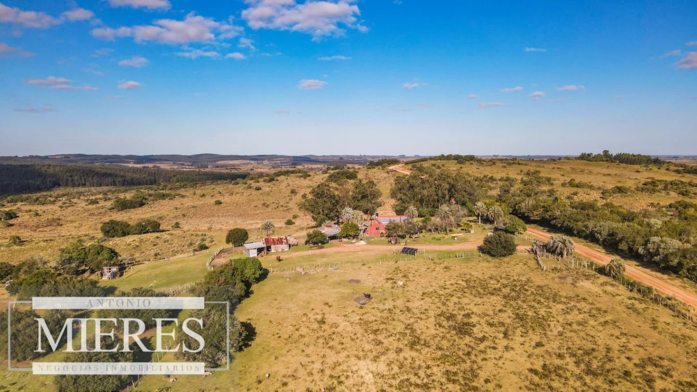 Campo en José Ignacio, propiedad 290246 -Imagen 10