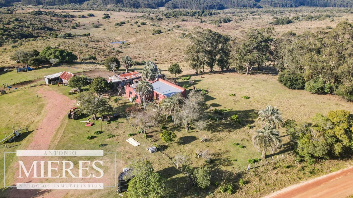 Campo en José Ignacio, propiedad 290246 -Imagen 11