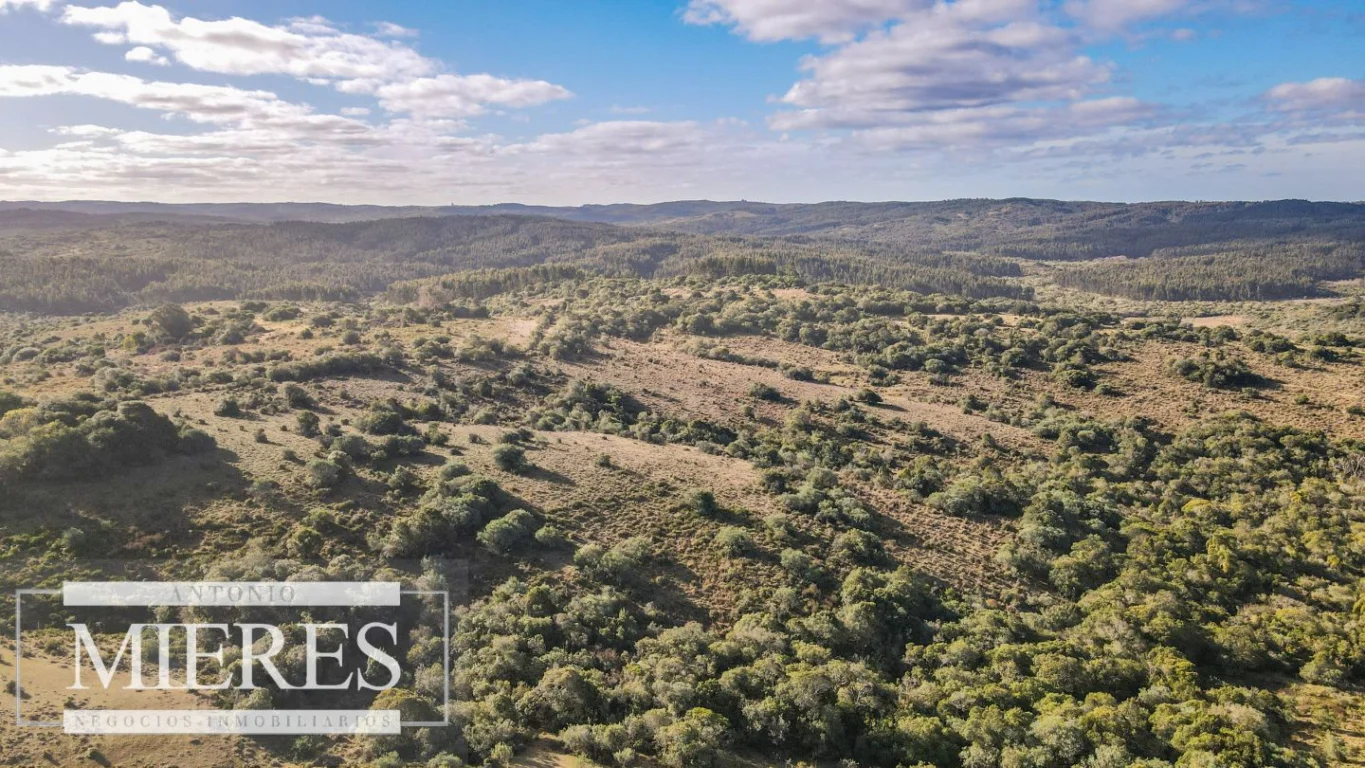 Campo en José Ignacio, propiedad 290246 -Imagen 13