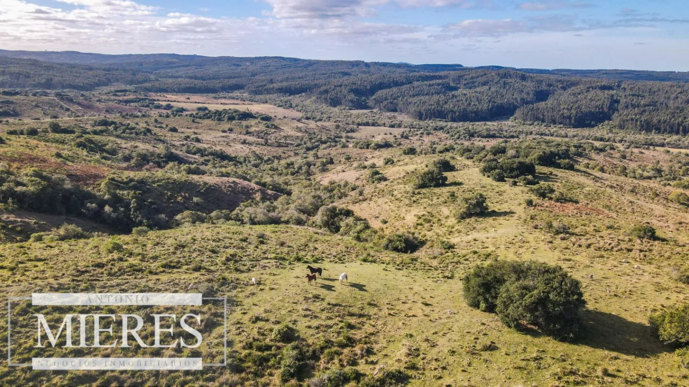 Campo en José Ignacio, propiedad 290246 -Imagen 14