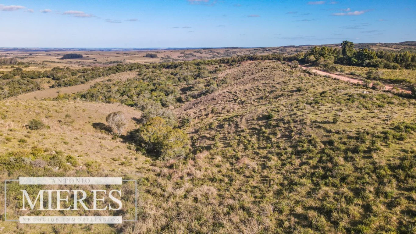Campo en José Ignacio, propiedad 290246 -Imagen 17