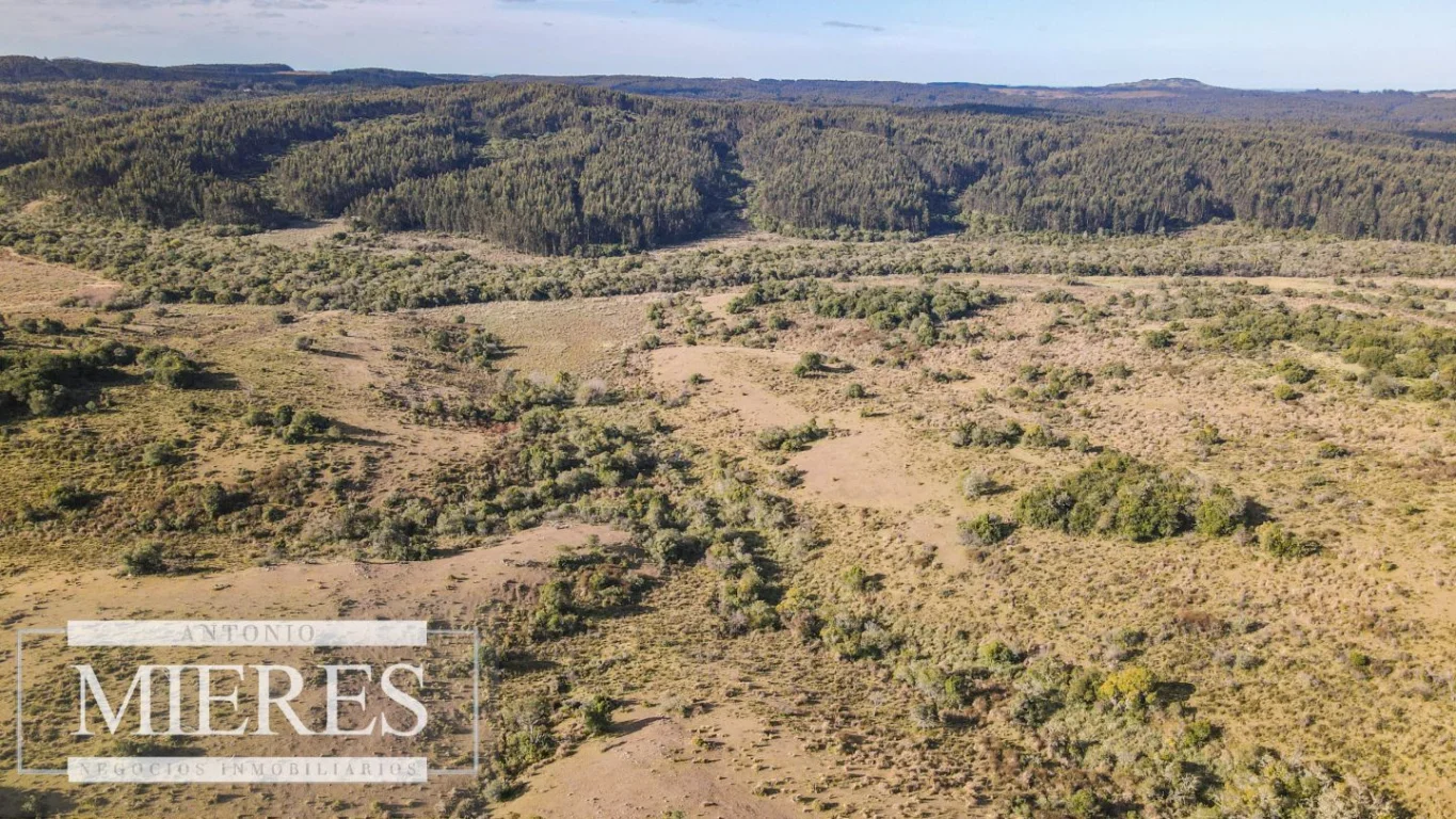 Campo en José Ignacio, propiedad 290246 -Imagen 18