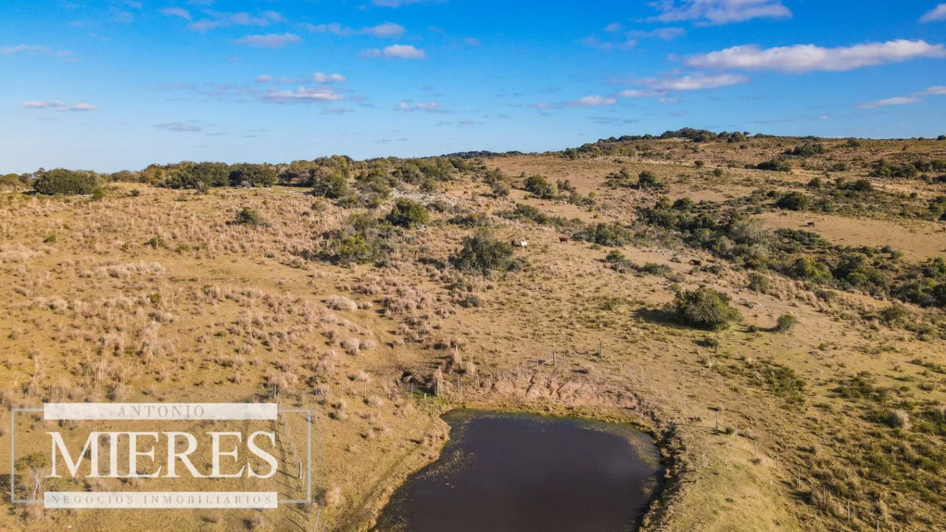 Campo en José Ignacio, propiedad 290246 -Imagen 19