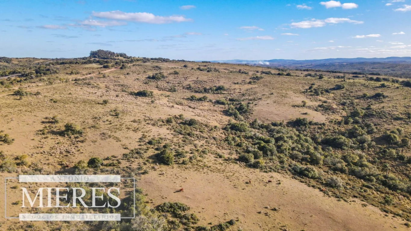 Campo en José Ignacio, propiedad 290246 -Imagen 20