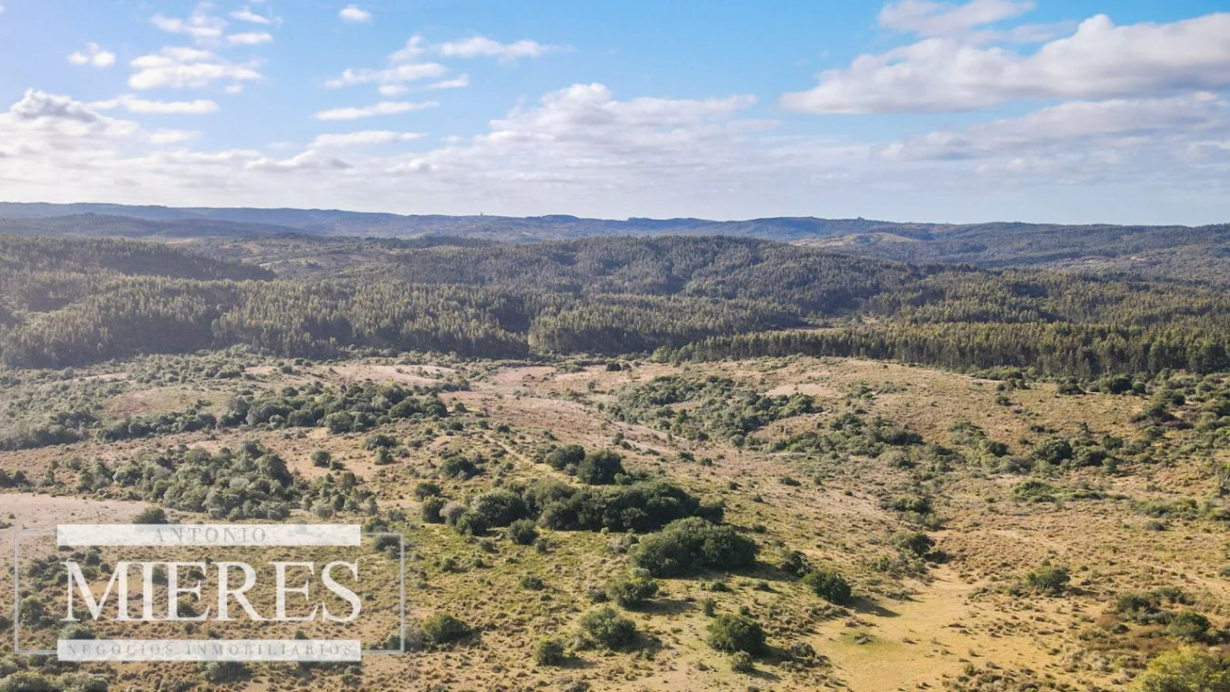 Campo en José Ignacio, propiedad 290246 -Imagen 21