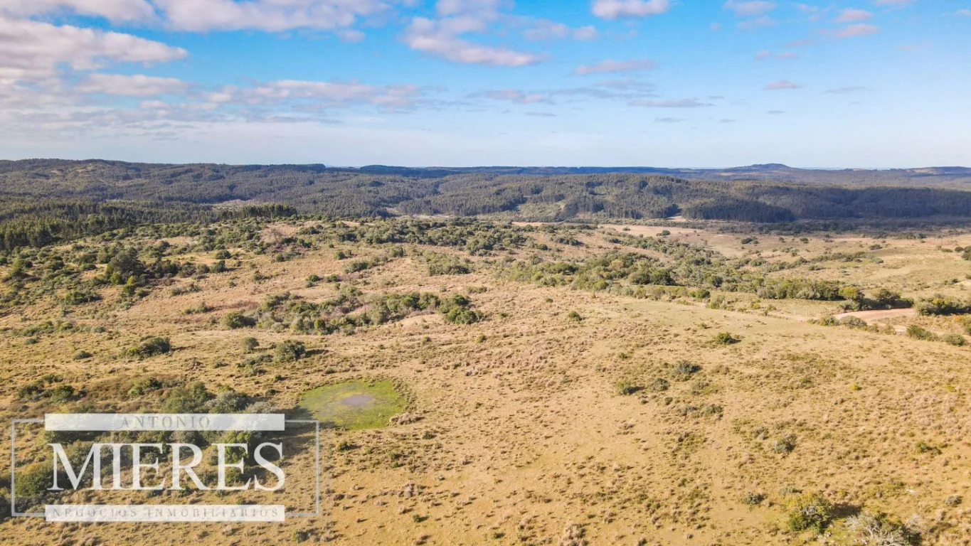 Campo en José Ignacio, propiedad 290246 -Imagen 22