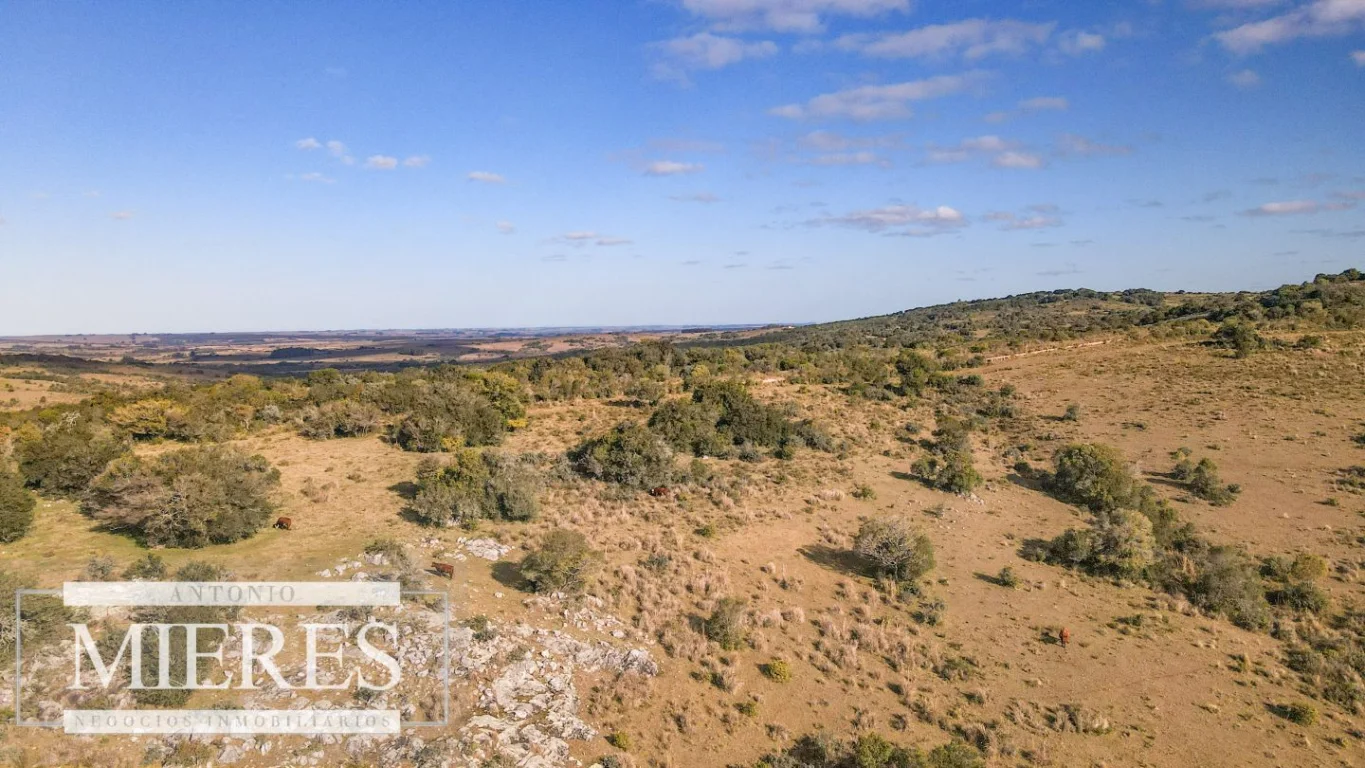 Campo en José Ignacio, propiedad 290246 -Imagen 23