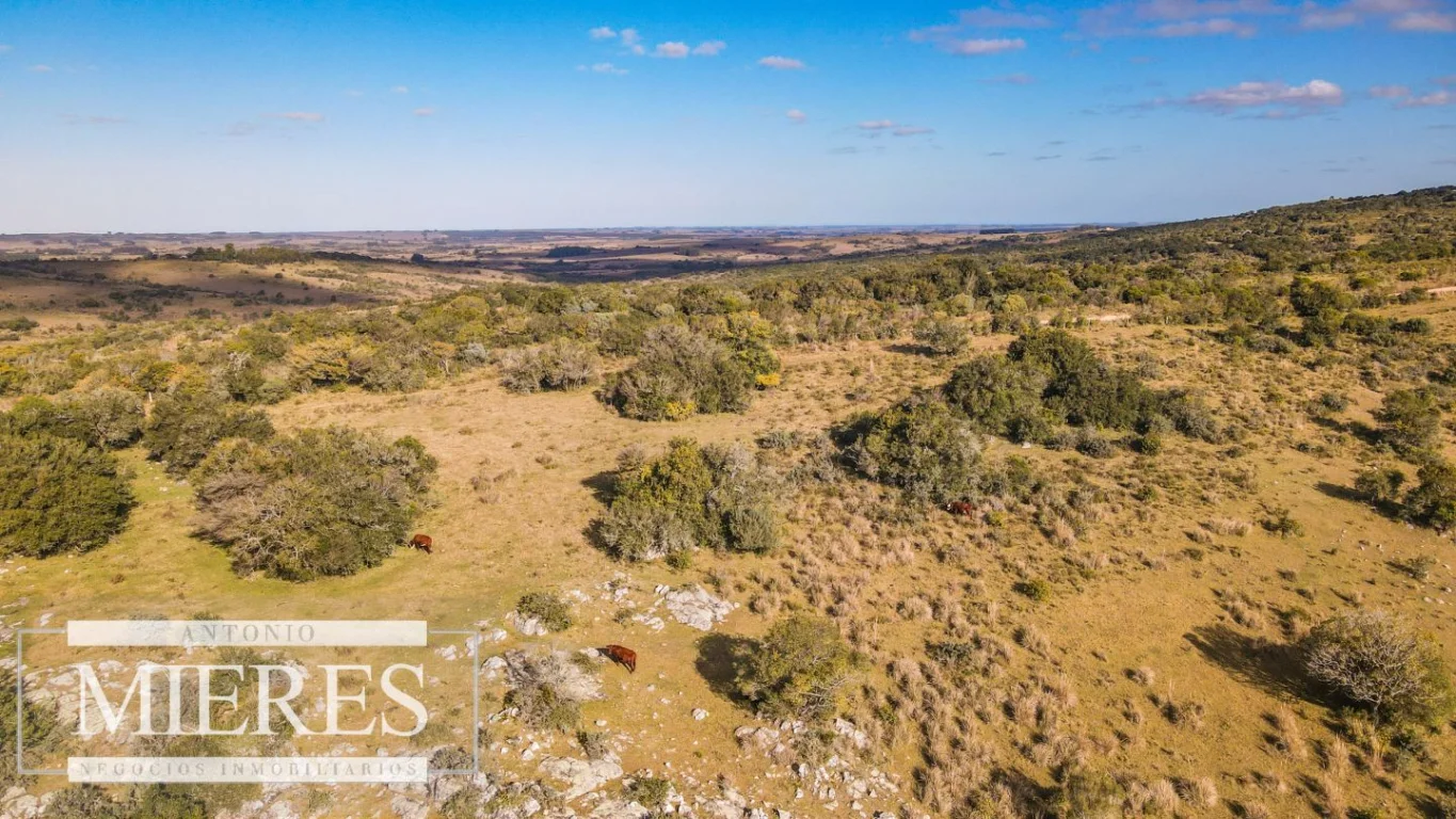 Campo en José Ignacio, propiedad 290246 -Imagen 24