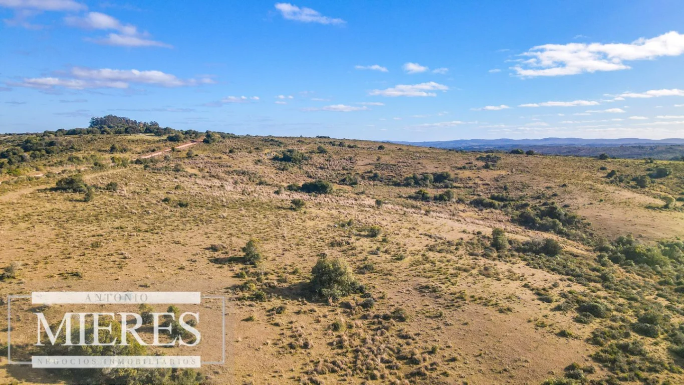 Campo en José Ignacio, propiedad 290246 -Imagen 25
