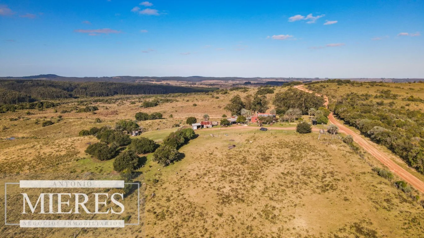 Campo en José Ignacio, propiedad 290246 -Imagen 2
