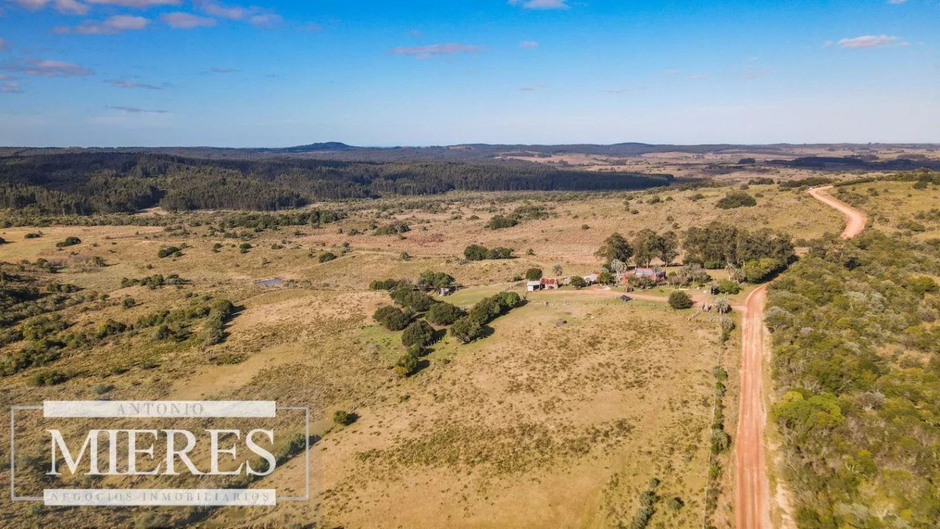 Campo en José Ignacio, propiedad 290246 -Imagen 3