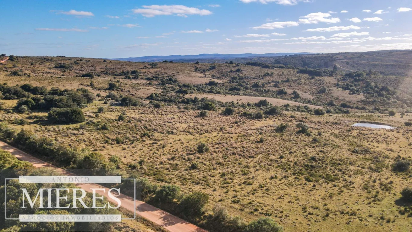 Campo en José Ignacio, propiedad 290246 -Imagen 4