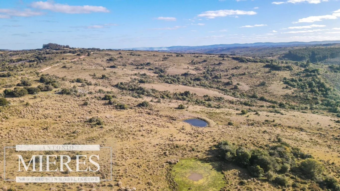 Campo en José Ignacio, propiedad 290246 -Imagen 5