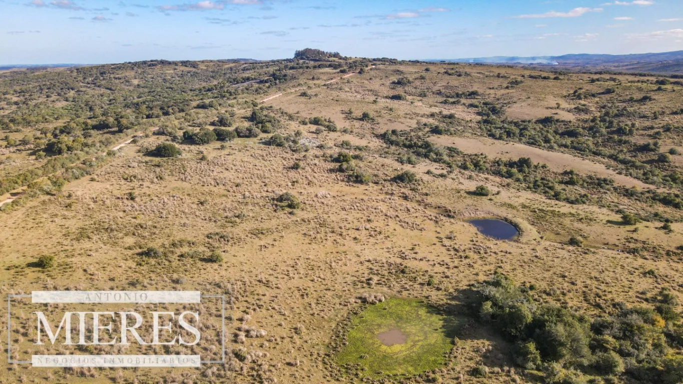 Campo en José Ignacio, propiedad 290246 -Imagen 6