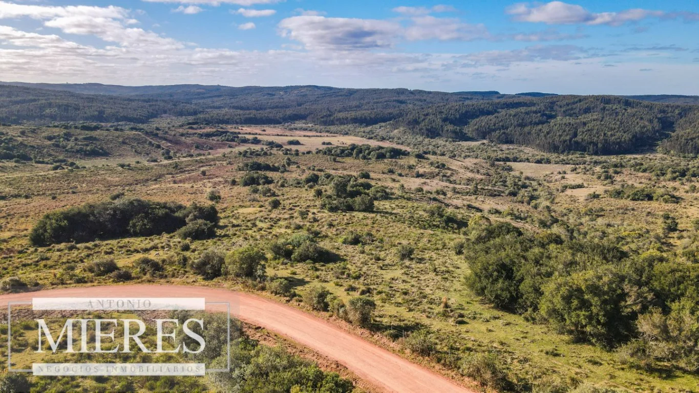 Campo en José Ignacio, propiedad 290246 -Imagen 7