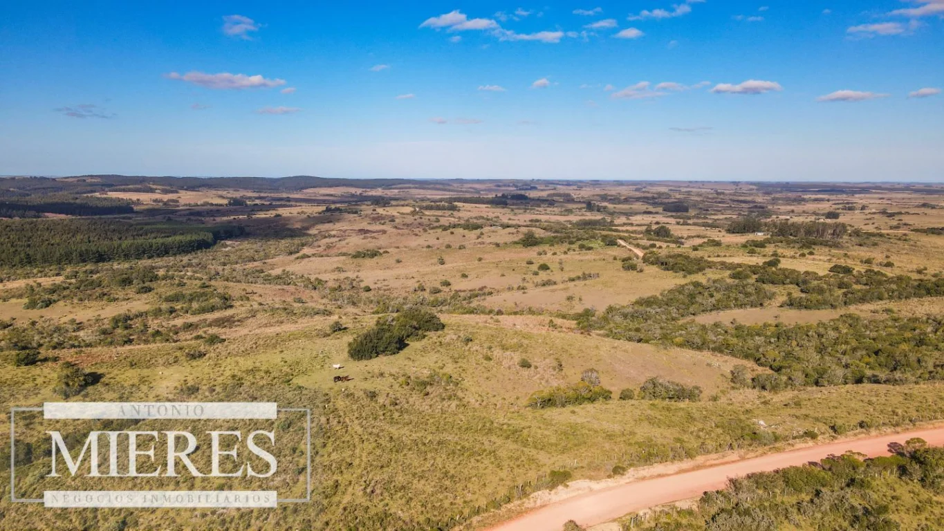 Campo en José Ignacio, propiedad 290246 -Imagen 8
