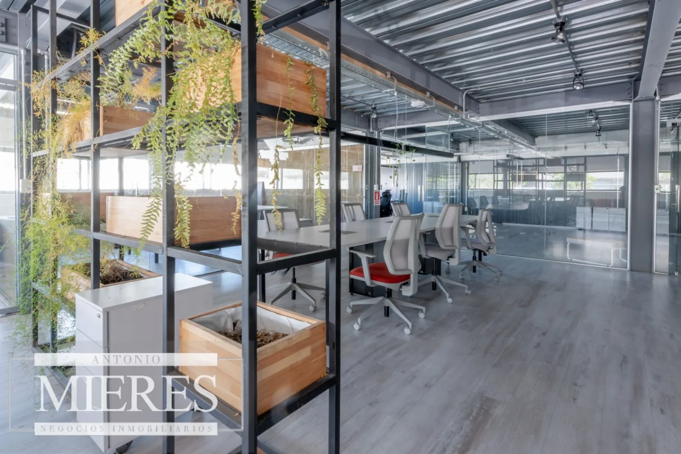 Local en Roosevelt, propiedad 290274 -Imagen 8