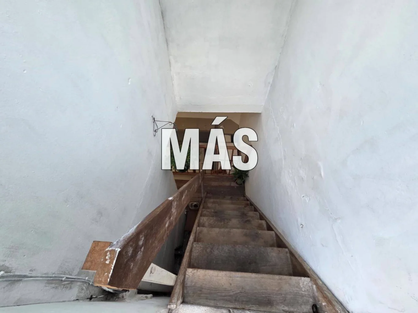 Casa en Parque Batlle, propiedad 290454 -Imagen 16