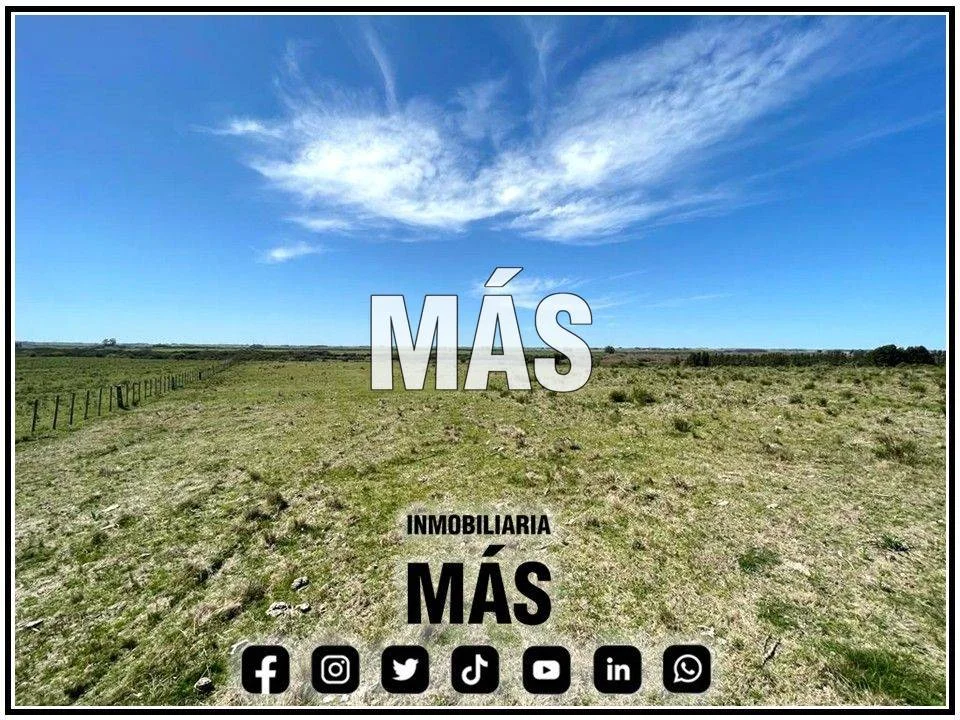 Terreno en San Carlos, propiedad 290581 -Imagen 2