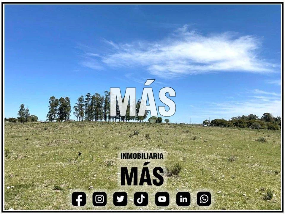 Terreno en San Carlos, propiedad 290581 -Imagen 3