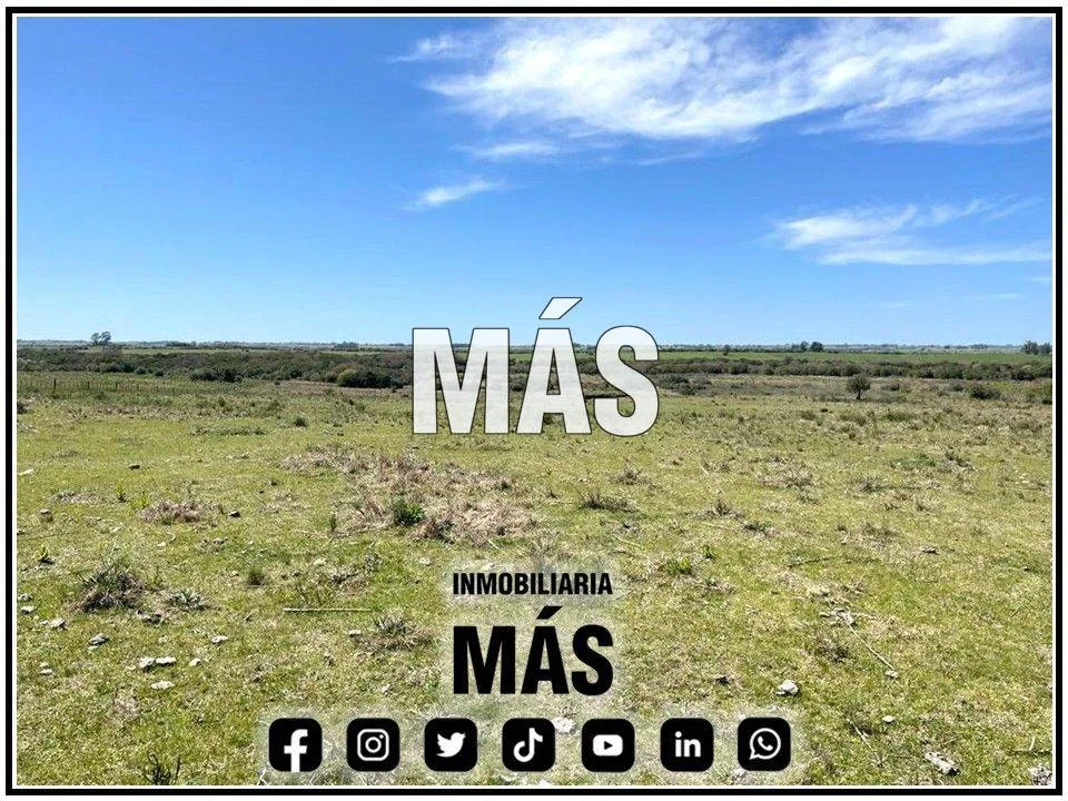 Terreno en San Carlos, propiedad 290581 -Imagen 4