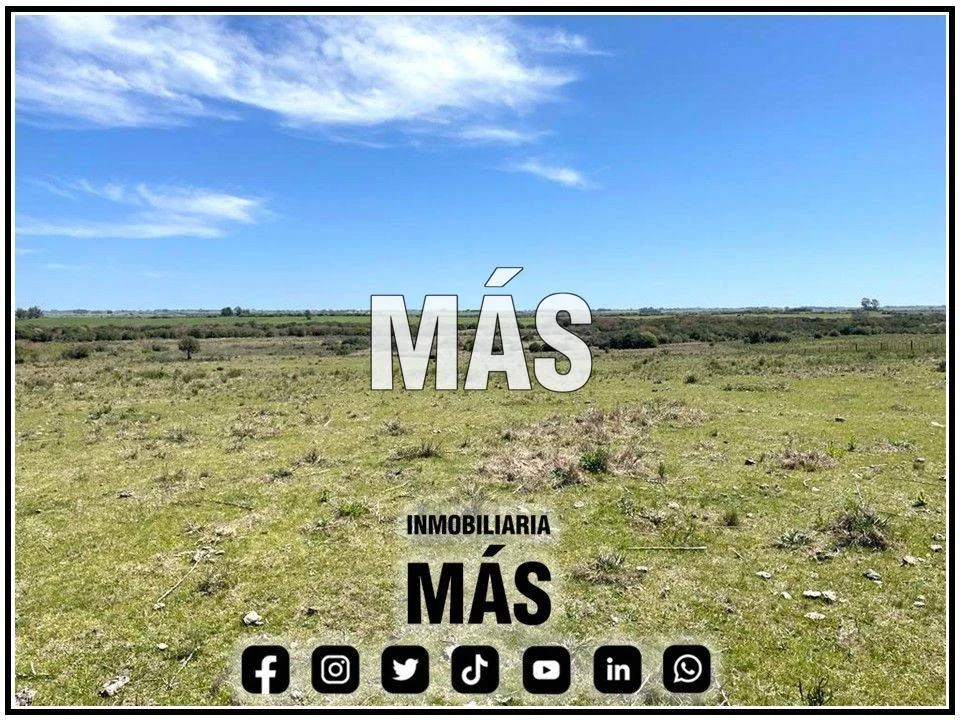 Terreno en San Carlos, propiedad 290581 -Imagen 6