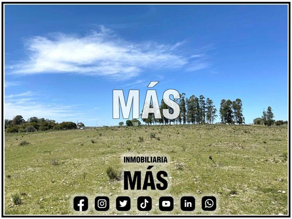 Terreno en San Carlos, propiedad 290581 -Imagen 7