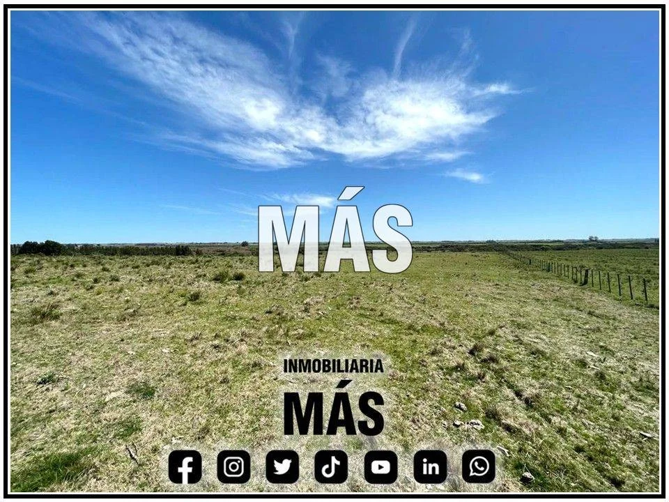Terreno en San Carlos, propiedad 290581 -Imagen 8