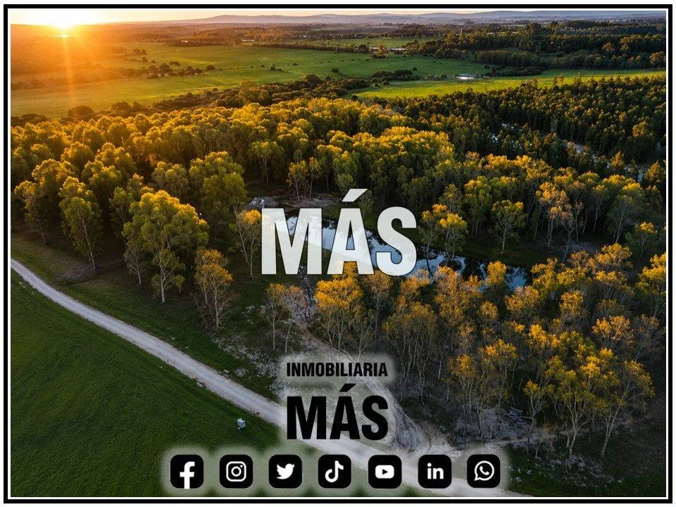 Terreno en Punta del Este, propiedad 290583 -Imagen 13