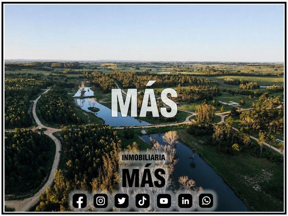 Terreno en Centro, propiedad 290584 -Imagen 4