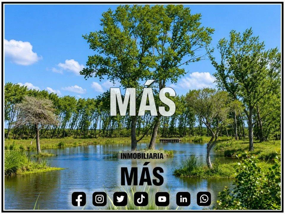 Terreno en Centro, propiedad 290584 -Imagen 5