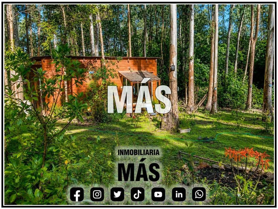 Terreno en Punta del Este, propiedad 290586 -Imagen 9