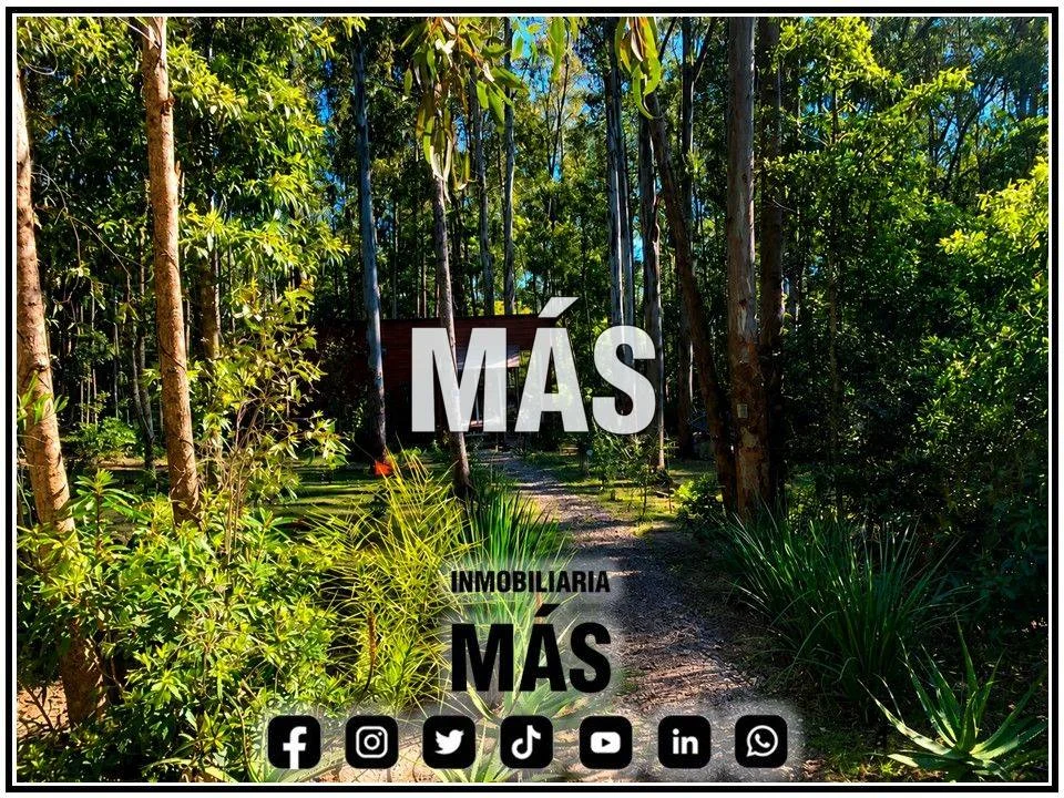 Terreno en Punta del Este, propiedad 290586 -Imagen 12