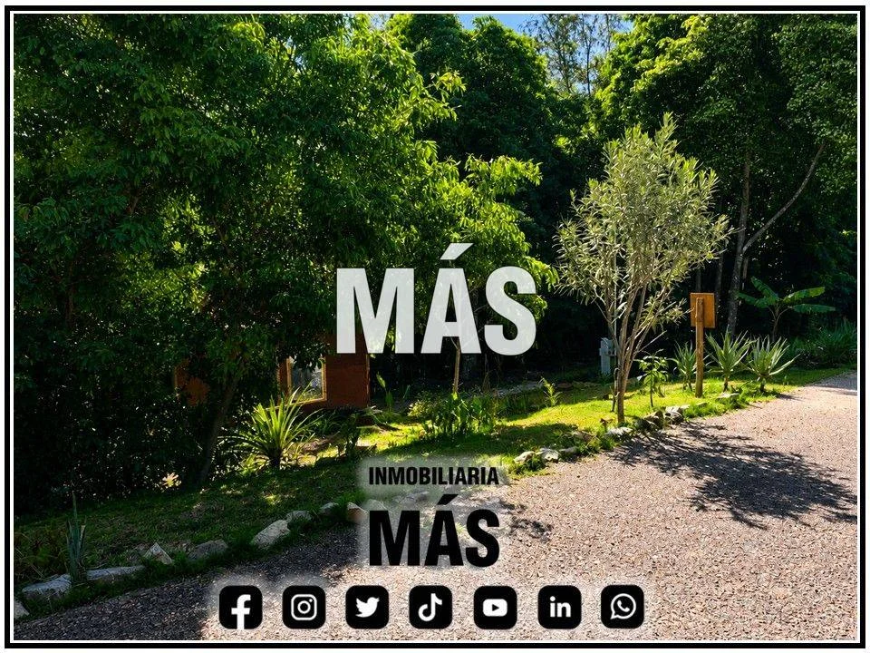 Terreno en Punta del Este, propiedad 290586 -Imagen 13