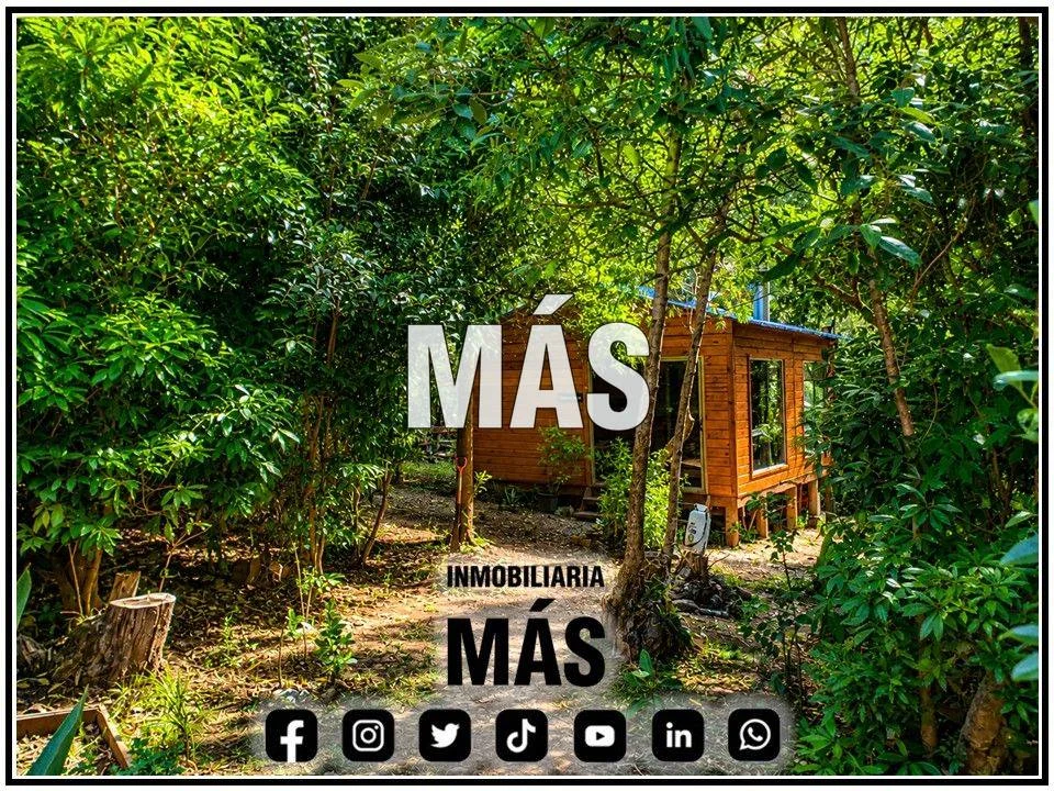 Terreno en Punta del Este, propiedad 290586 -Imagen 3