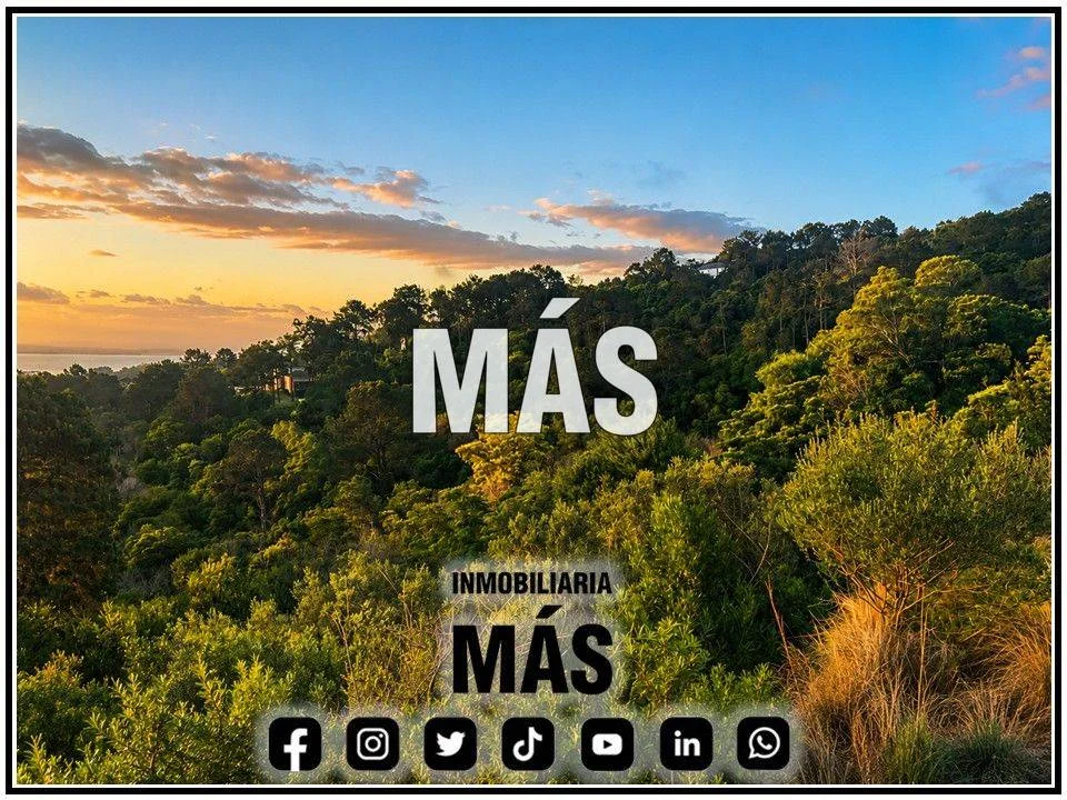Terreno en Punta Ballena, propiedad 290588 -Imagen 11