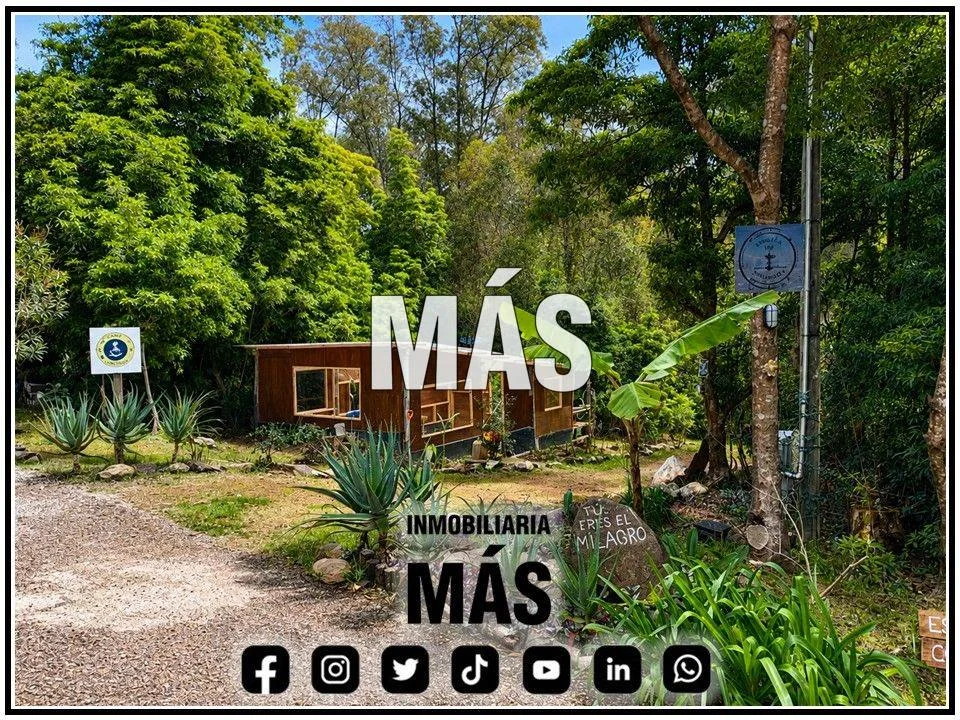 Terreno en Punta Ballena, propiedad 290588 -Imagen 3