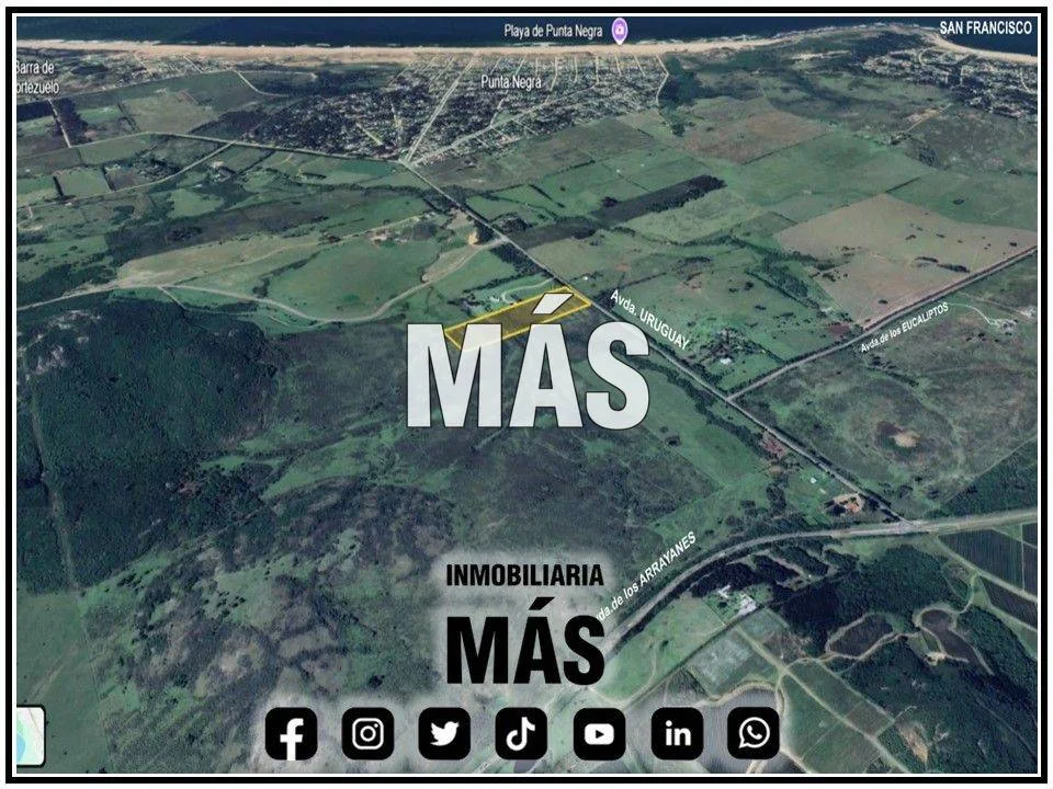 Terreno en Punta Negra, propiedad 291359 -Imagen 3