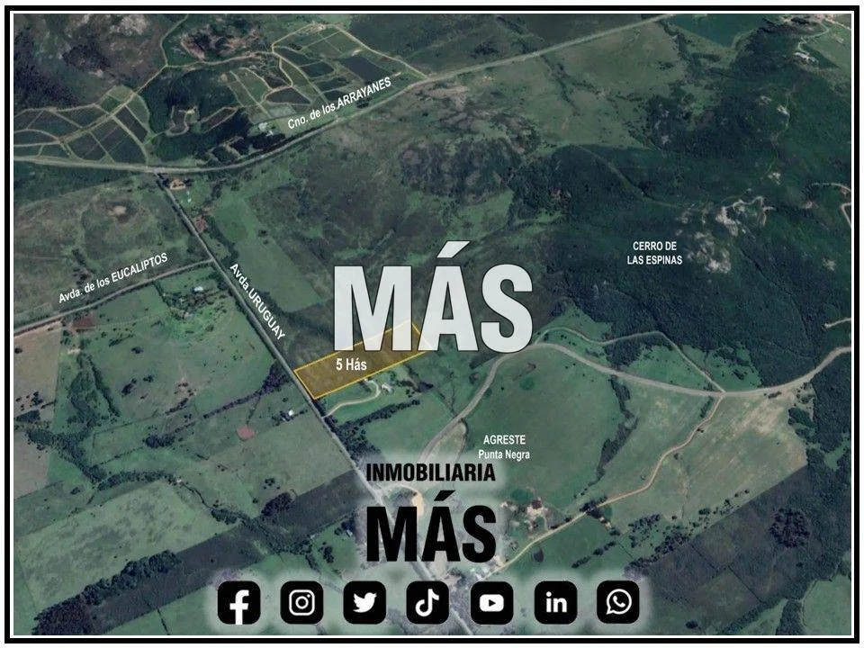 Terreno en Punta Negra, propiedad 291359 -Imagen 5