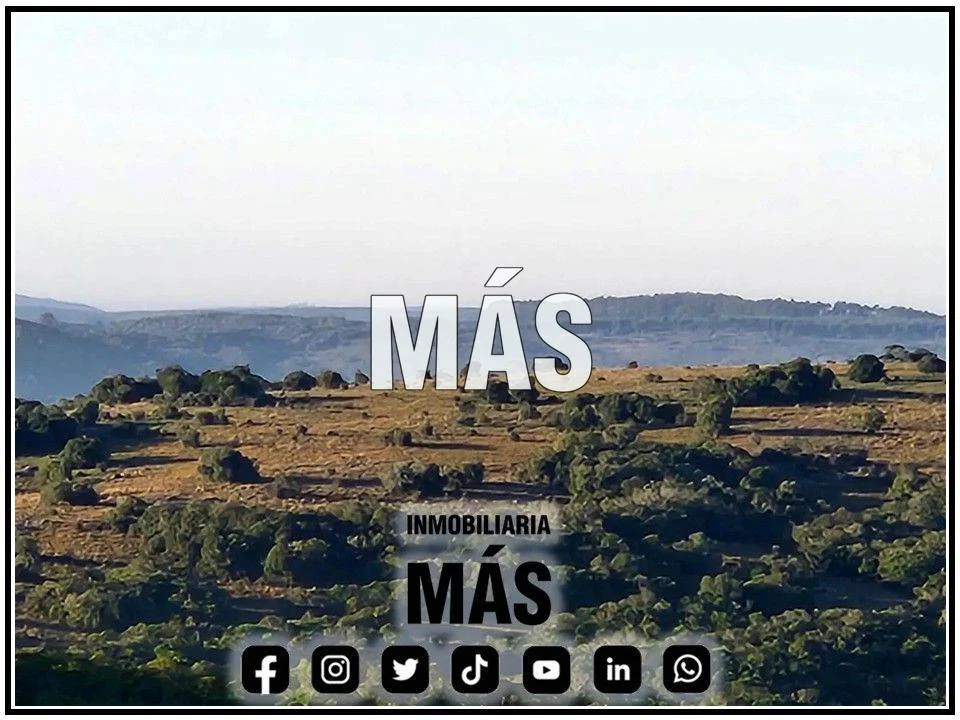 Chacra en Maldonado, propiedad 291364 -Imagen 10