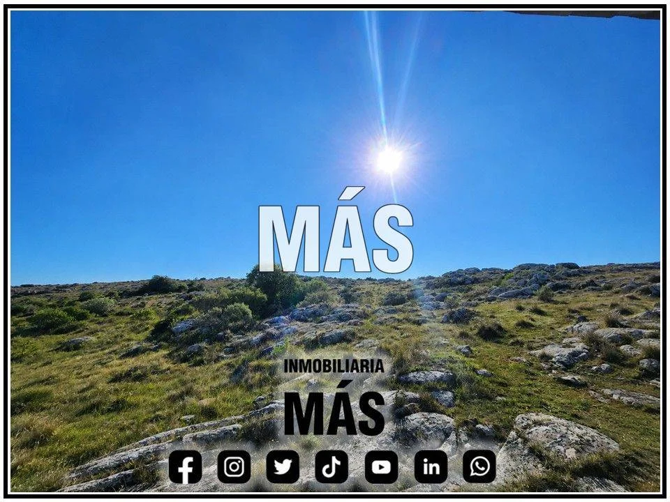 Chacra en Maldonado, propiedad 291364 -Imagen 3