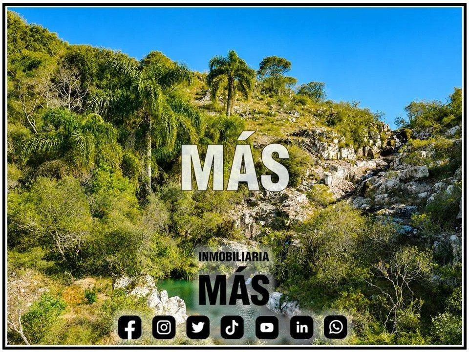 Chacra en Maldonado, propiedad 291365 -Imagen 6
