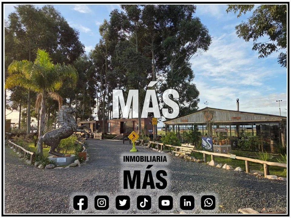 Chacra en Atlántida, propiedad 291505 -Imagen 6