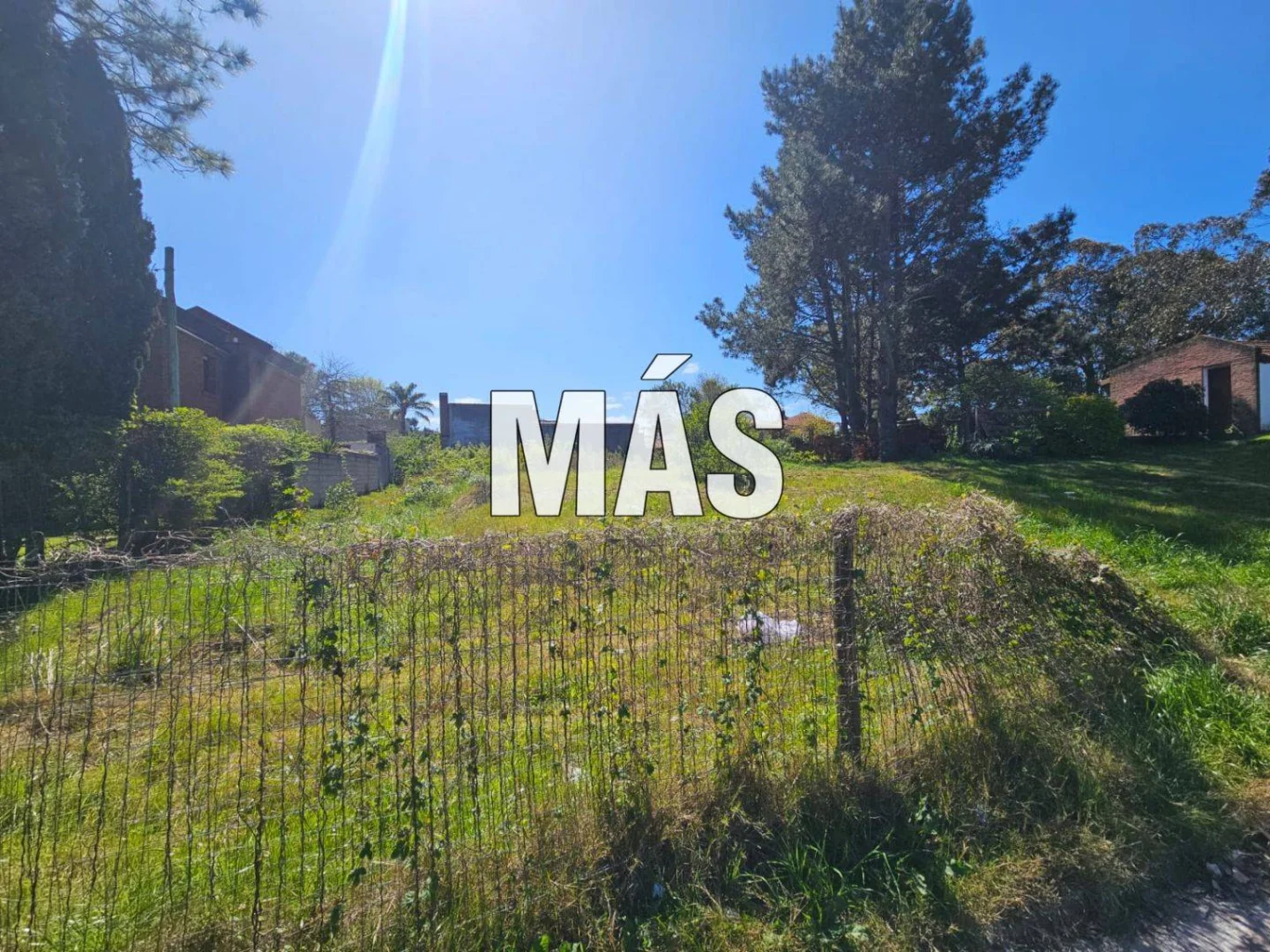 Terreno en Pinares, propiedad 295300 -Imagen 12
