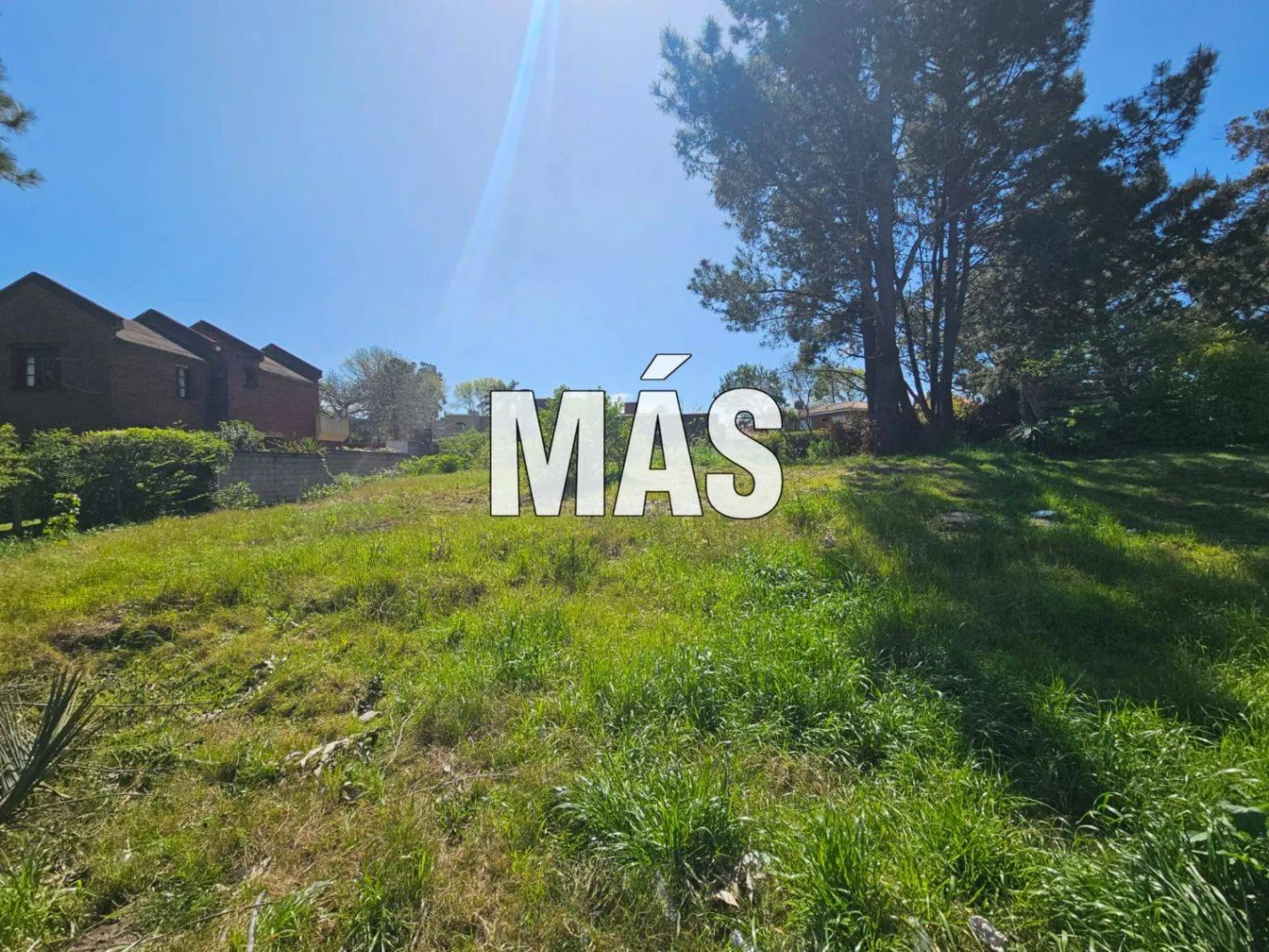 Terreno en Pinares, propiedad 295300 -Imagen 13