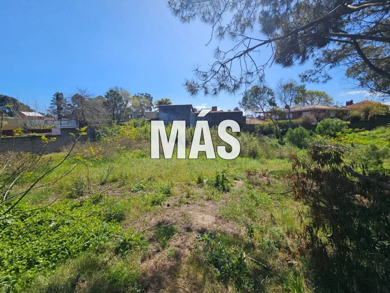 Terreno en Pinares, propiedad 295300 -Imagen 3