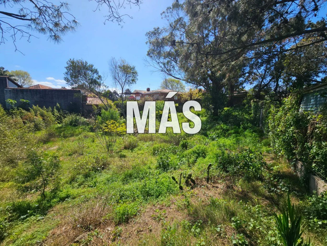 Terreno en Pinares, propiedad 295300 -Imagen 4