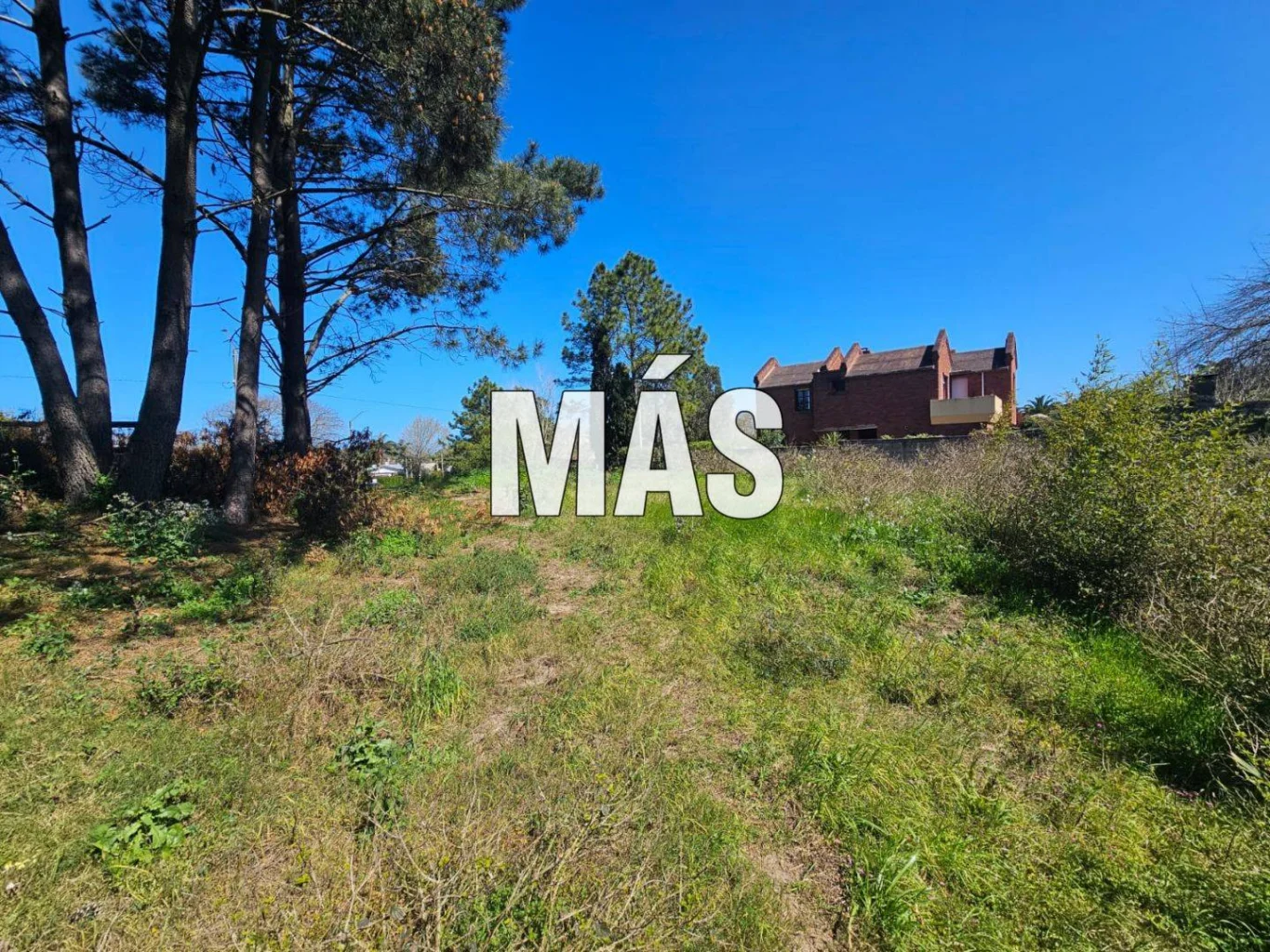 Terreno en Pinares, propiedad 295300 -Imagen 5