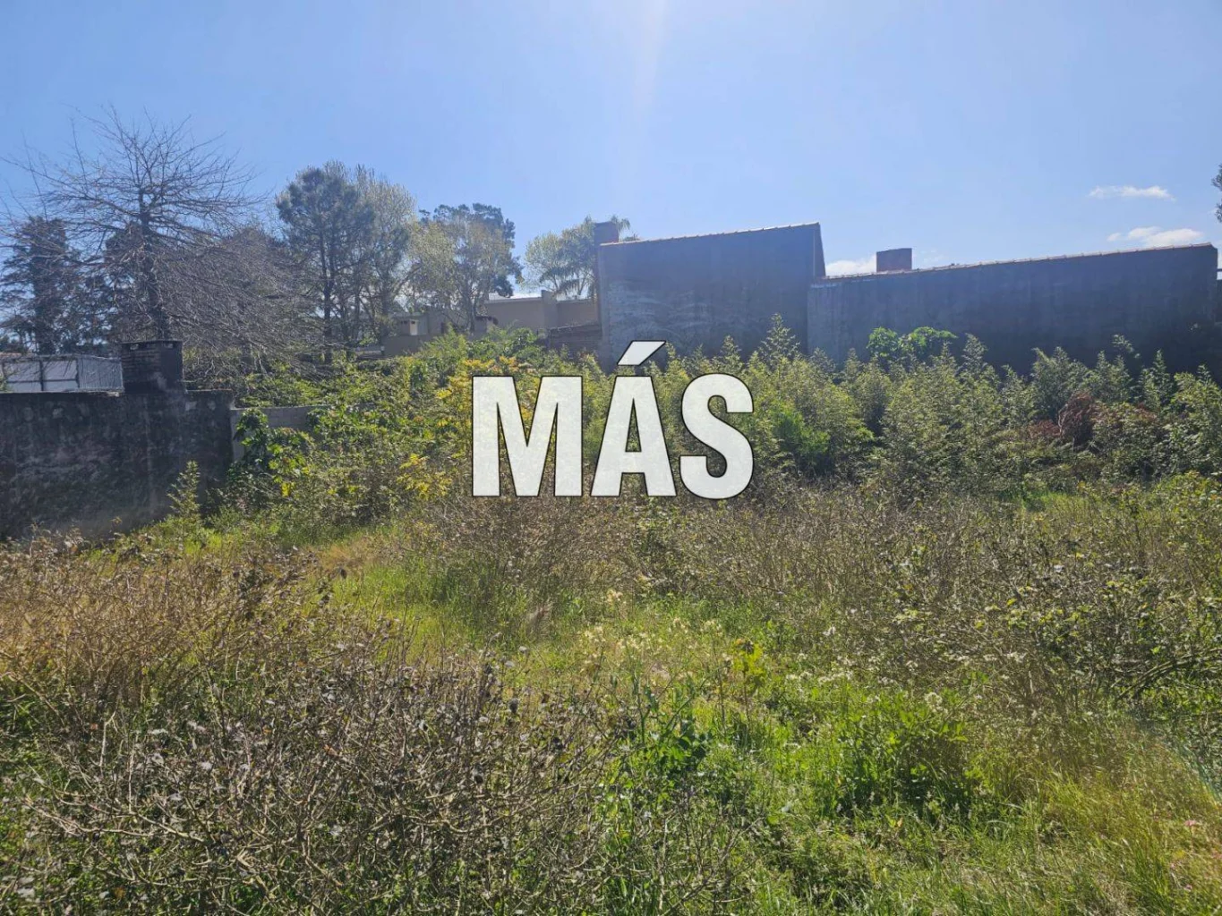 Terreno en Maldonado, propiedad 295301 -Imagen 16